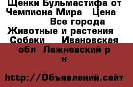 Щенки Бульмастифа от Чемпиона Мира › Цена ­ 1 000 - Все города Животные и растения » Собаки   . Ивановская обл.,Лежневский р-н